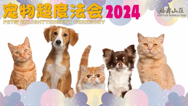 2024-pets-enlightenment-video-thumbnail.jpg