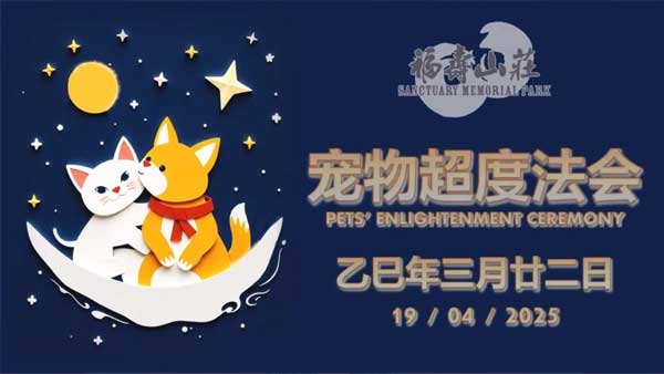 2025-pets-enlightenment-video-thumbnail.jpg